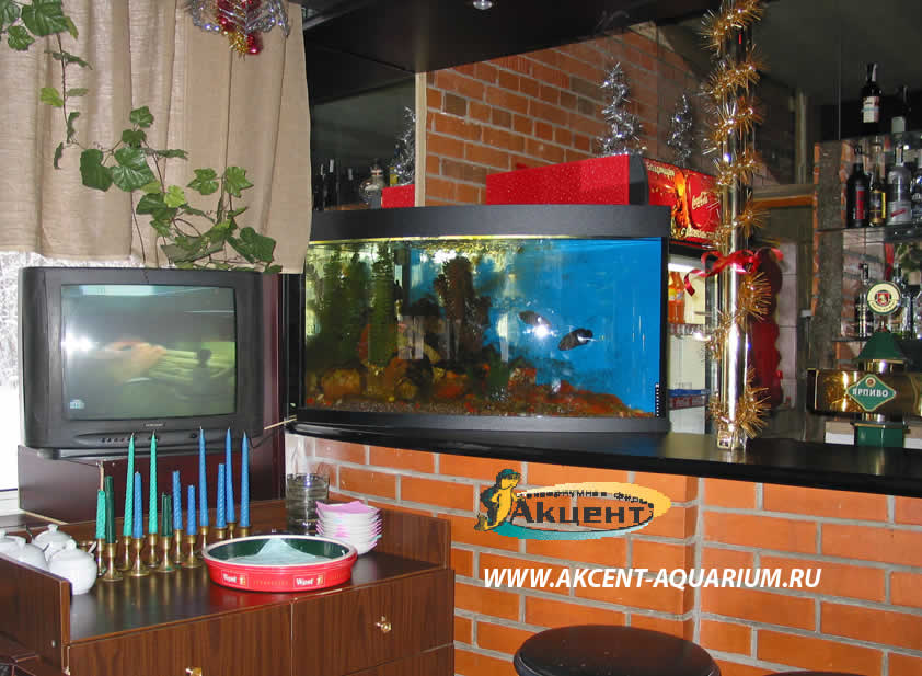 Акцент-аквариум,аквариум угловой с гнутым передним стеклом,в кафе